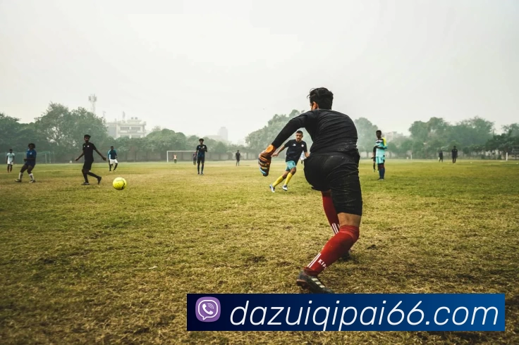 大嘴棋牌平台生态图